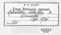 Image Associated With the Occurence